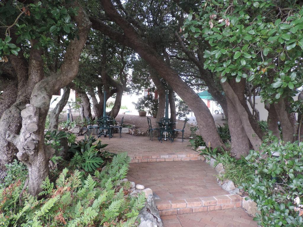 Milkwood Lodge Hermanus Kültér fotó