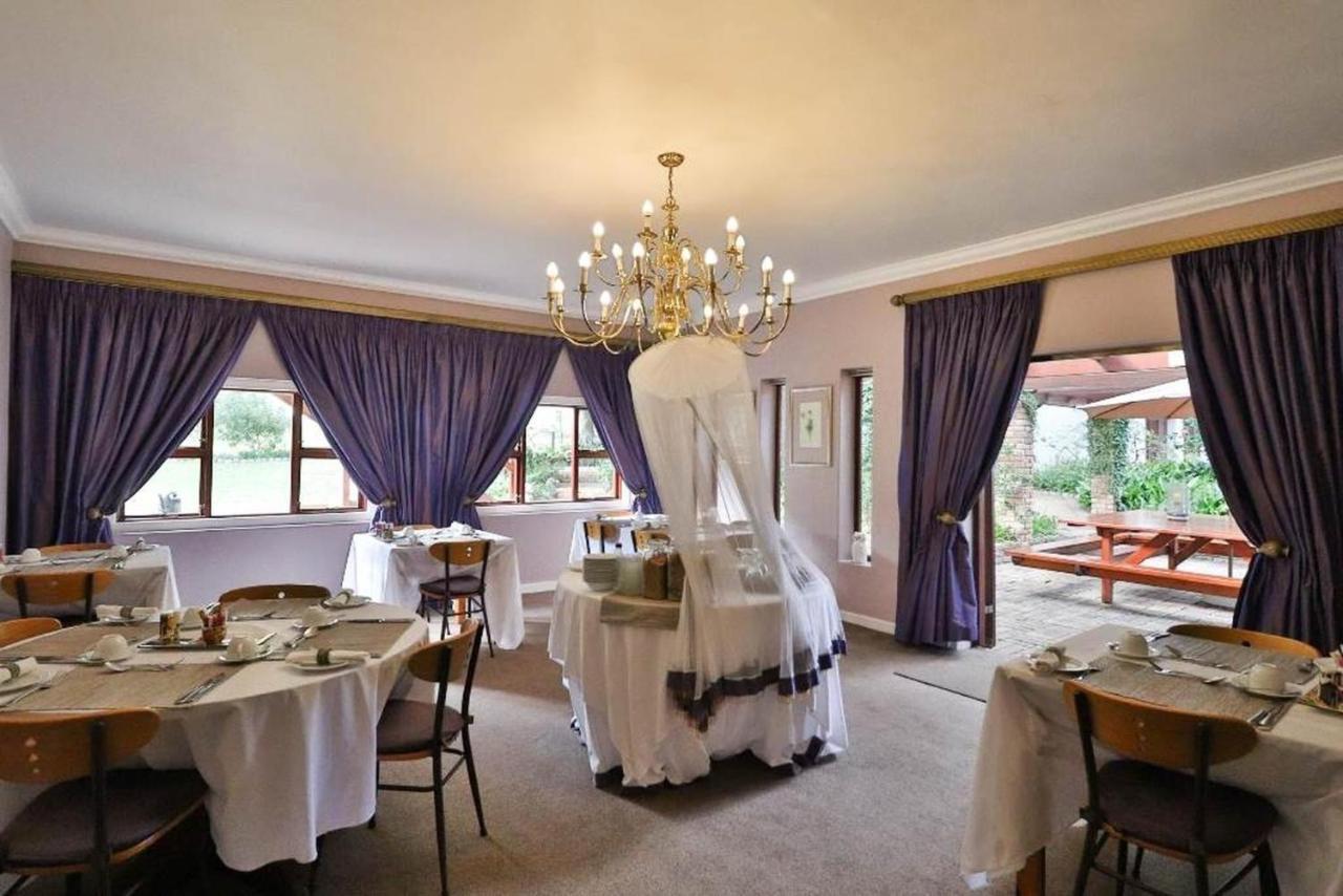 Milkwood Lodge Hermanus Kültér fotó