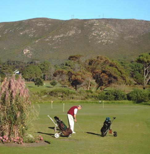 Milkwood Lodge Hermanus Kültér fotó