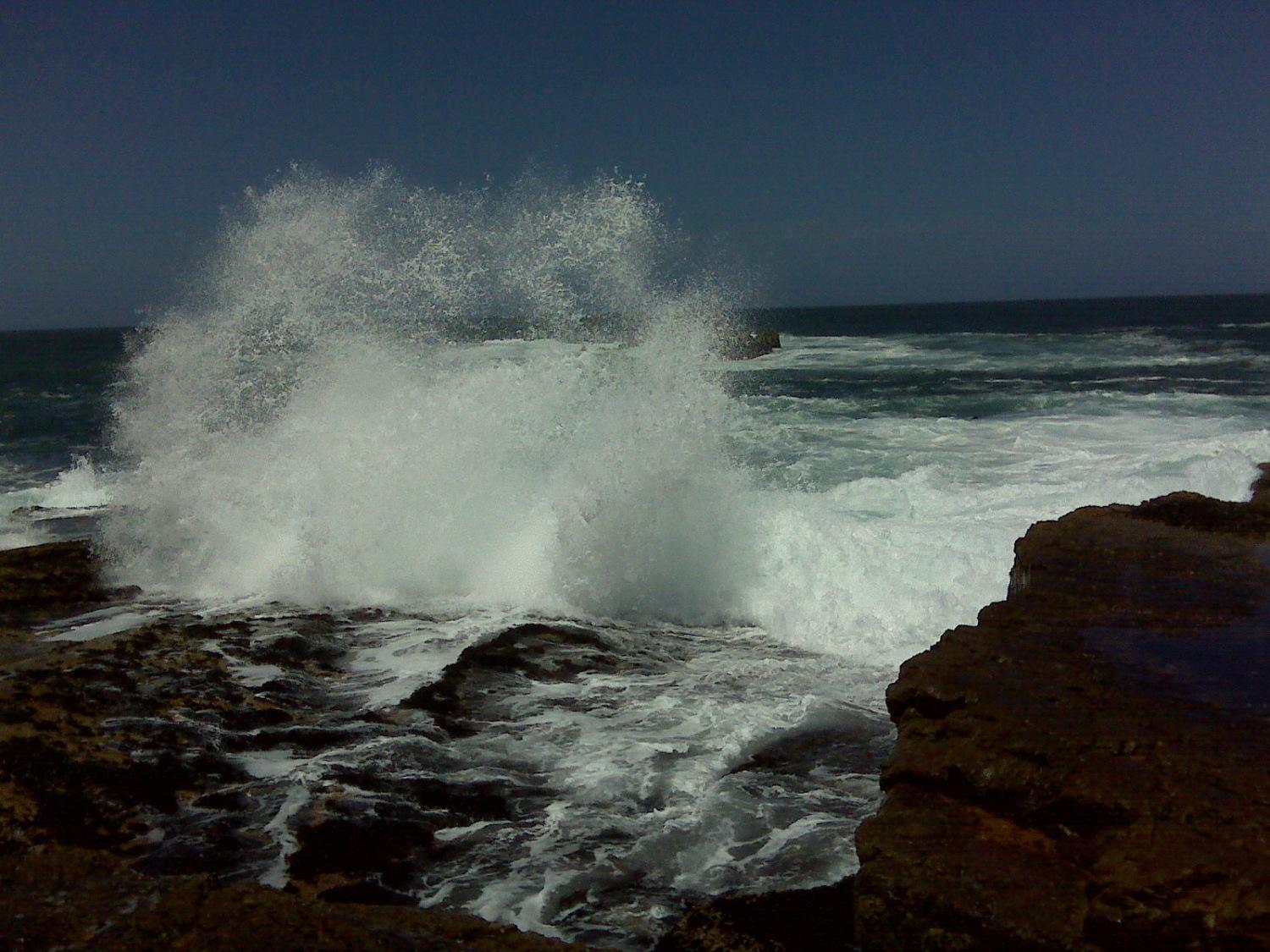 Milkwood Lodge Hermanus Kültér fotó