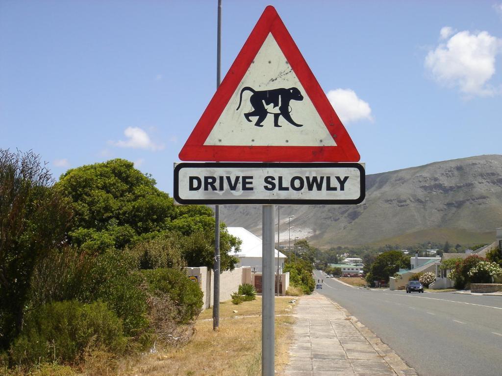 Milkwood Lodge Hermanus Szoba fotó